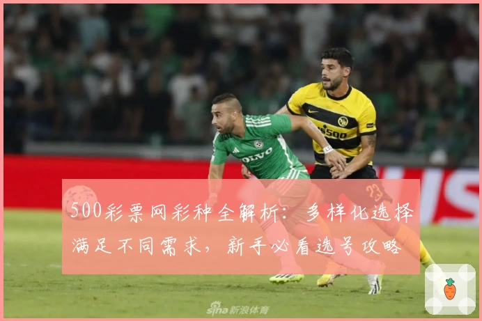 500彩票网彩种全解析：多样化选择满足不同需求，新手必看选号攻略