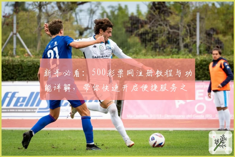 新手必看：500彩票网注册教程与功能详解，带你快速开启便捷服务之旅