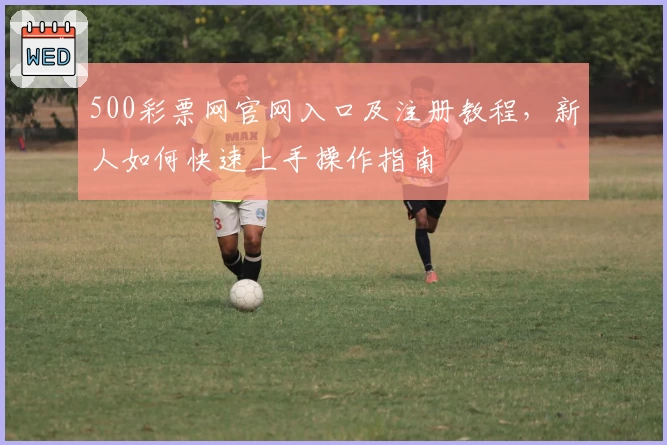 500彩票网官网入口及注册教程,新人如何快速上手操作指南