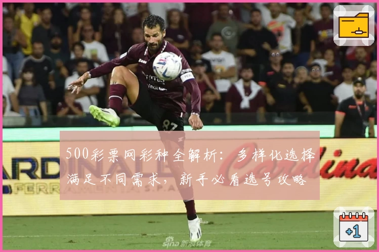 500彩票网彩种全解析:多样化选择满足不同需求,新手必看选号攻略
