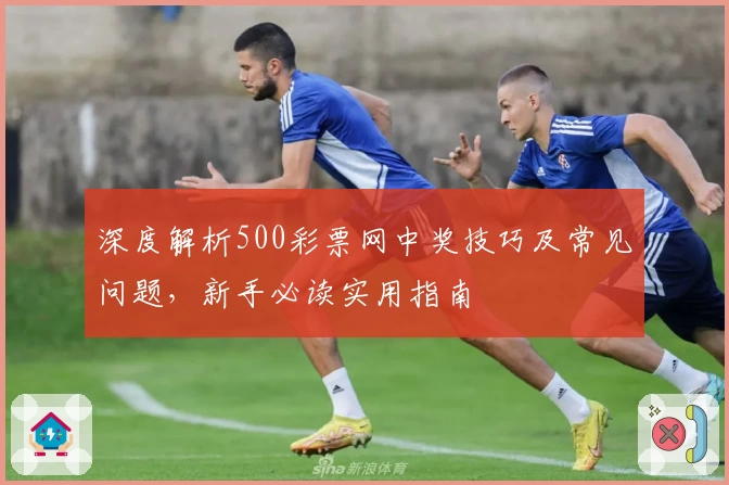 深度解析500彩票网中奖技巧及常见问题，新手必读实用指南