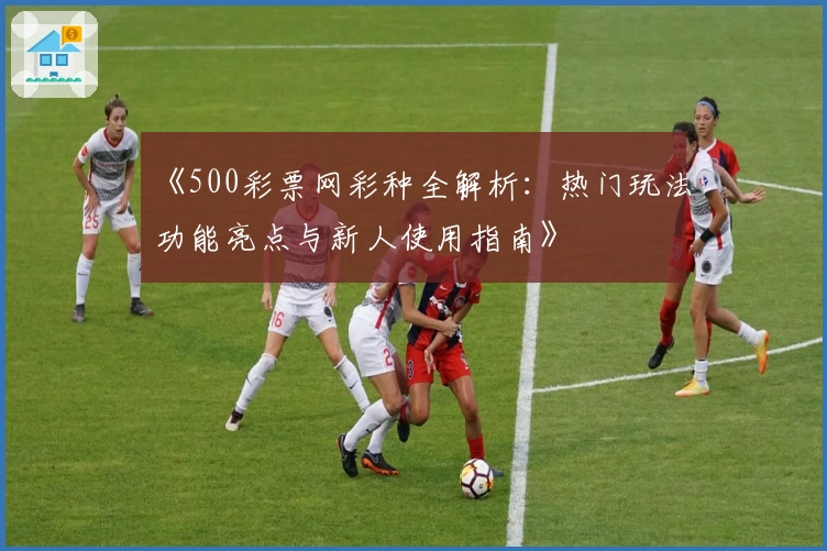 《500彩票网彩种全解析：热门玩法功能亮点与新人使用指南》